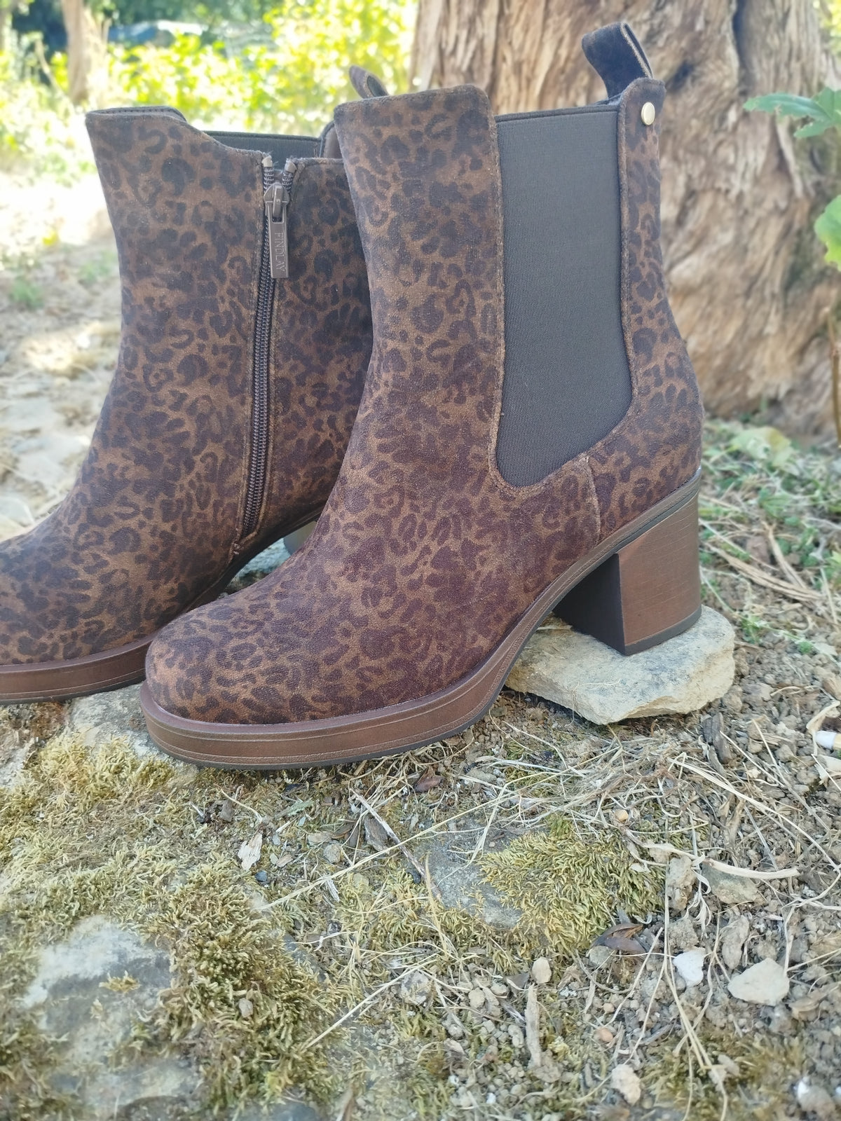 Bottines Léopard Chocolat